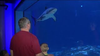 Spring family activities on the wild side