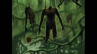 Degrade - Remnants Of Mutilated Bodies