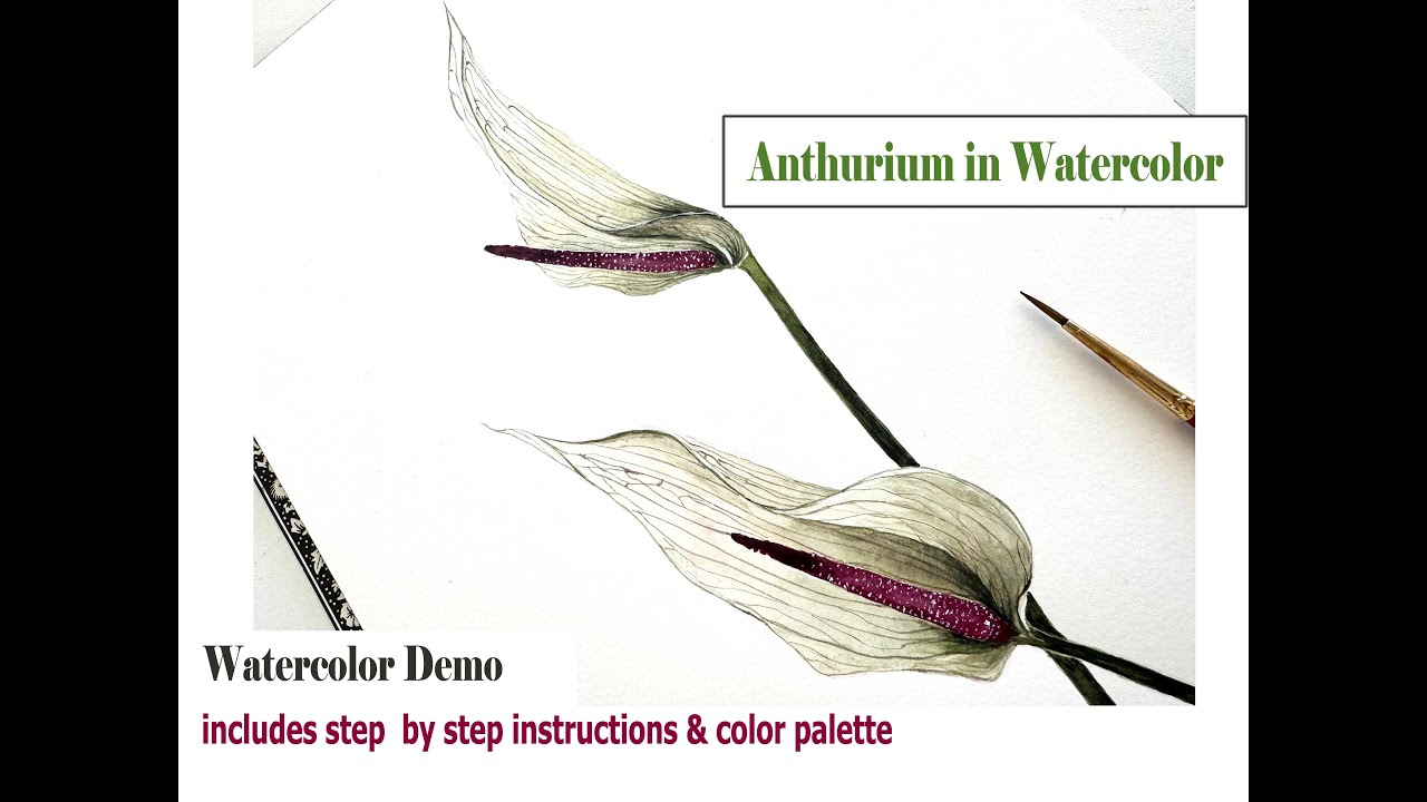 How to Paint Anthuriums in Watercolor - Step by Step Tutorial