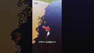 아마존 정글에서 발견되는 검은색 강물의 정체