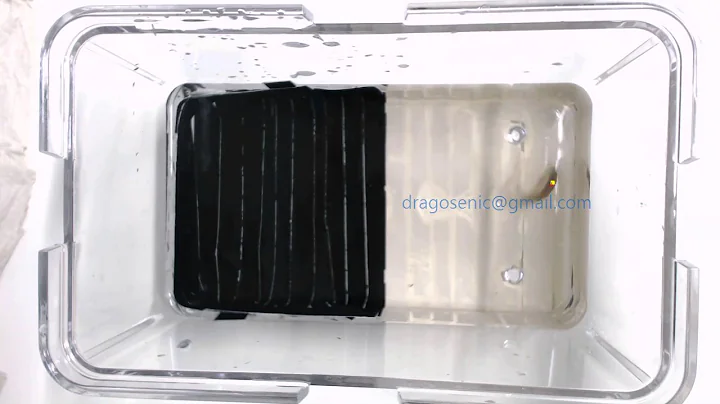 Fish Detection and Tracking 03 - (Real-Time Object Tracking)