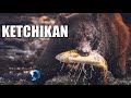 Best ketchikan excursions  alaska cruise ship port