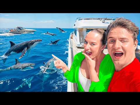 På udkig efter HVALER på CAPE VERDE! | Vlog