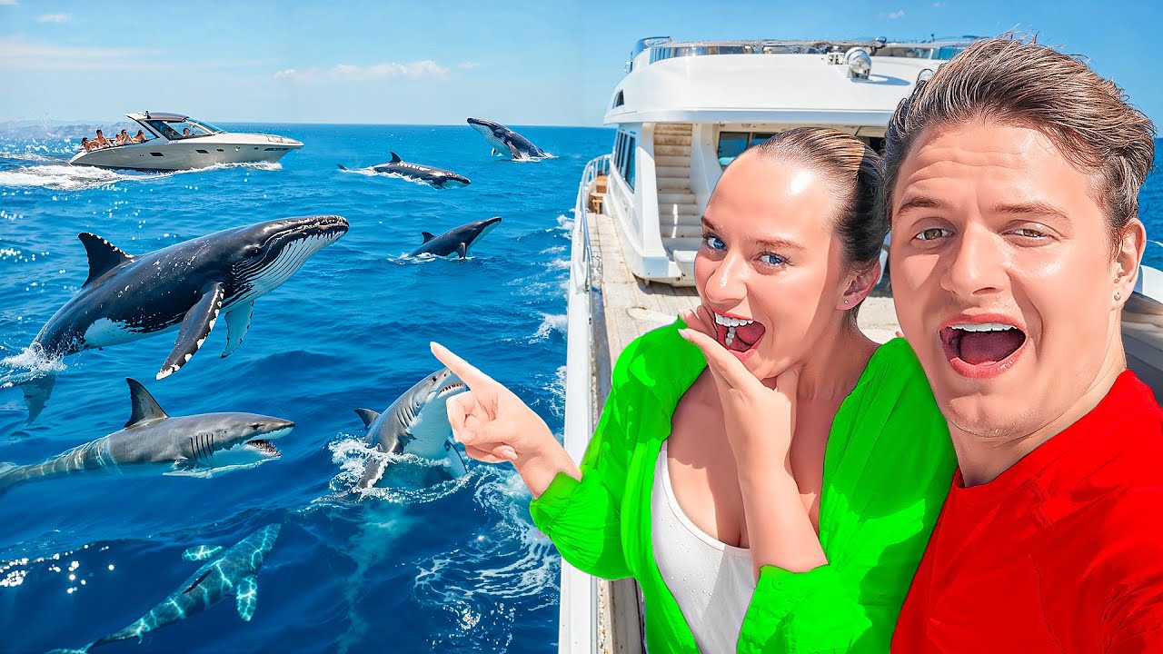 På udkig efter HVALER på CAPE VERDE! | Vlog