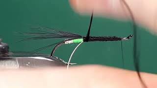 One Fly A Day - Black Bear Green Butt