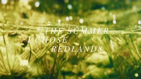 The Summer I Chose University of Redlands