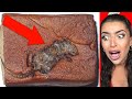 STRANGE Things Found In Your FAVORITE Foods..