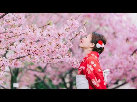 Vídeo: Cuando Es Japón Temporada De Cerezos En Flor