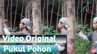 Video TikTok Pukul Pohon Original | DJ Maimunah Poding | OLD Ucil Fvnky DJ AMOI