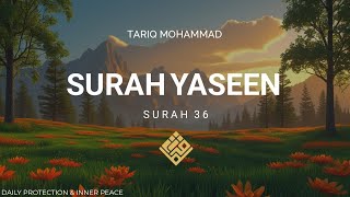 Beautiful Surah Yaseen Recitation (36) | English Translation | Daily Protection & Blessings