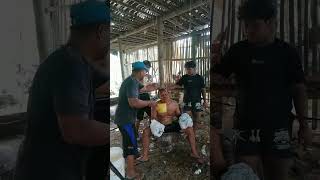 prtandingan tinju tingkat internasional #funnyvideo #comedyshorts #comedy #komedi #lucu #bikinngakak