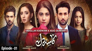 Kasa-e-Dil - Episode 01 || English Subtitle || 9th November 2020 - HAR PAL GEO
