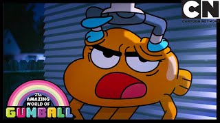 Darwin Doesn't Exist Without Gumball | The Sidekick | Gumball | Cartoon Network