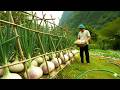 Planting green onions, reviving a garden that had been abandoned for years, cooking dinner