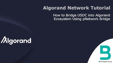 Algorand Network Tutorial: How to Bridge USDC into Algorand Using pNetwork Bridge