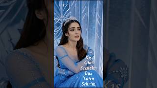 Kış Gibi Sessizim Buz Tuttu Şehrim