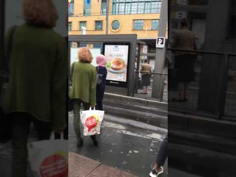 بلجيكا انتويربن