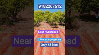 @form house mango 🥭 garden for sale near Hyderabad