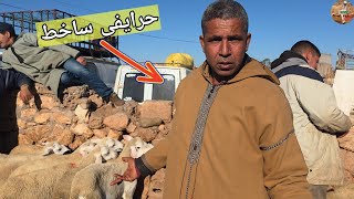 مباشرة من سوق الأربعاء بني عامر 15\04\2026 مع التمن حولي العيد الأضحى 🐏