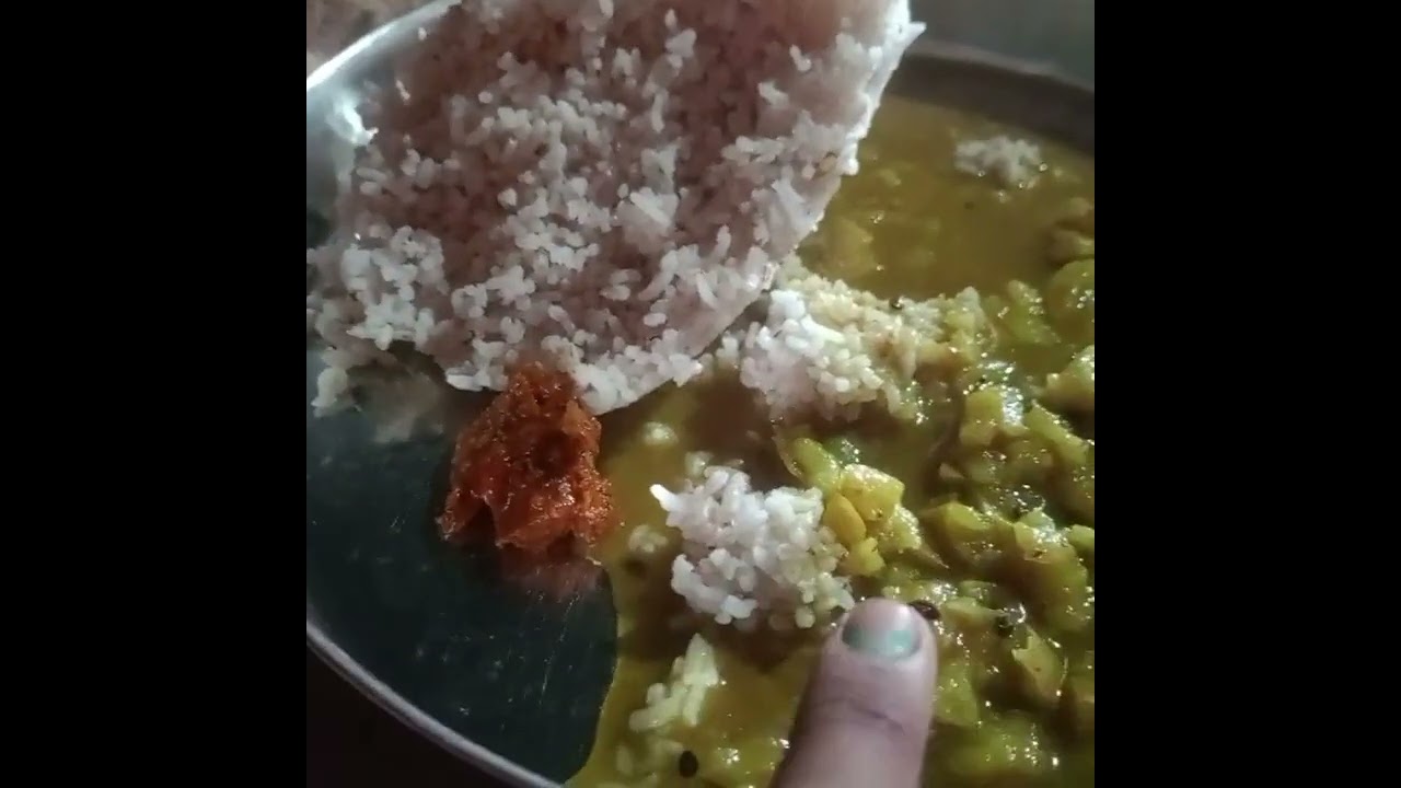 क्यों लगाते लोग इन जंगलों पर आज 🥺😱🙏🏻