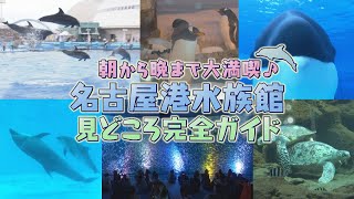 【ＧＷにぴったり！名古屋港水族館完全ガイド2025春】