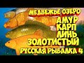 русская рыбалка 4 - Амур Карп Линь Медвежье озеро - рр4 фарм Алексей Майоров russian fishing 4