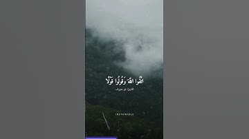 اللهم اجعل القرآن ربيع قلبي و نور صدري.🤍 #قرآن #تلاوات