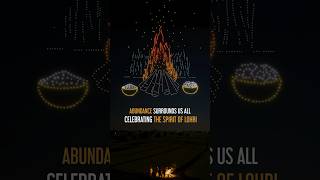 Wishing you all a radiant and joyous #Lohri! #DroneShow #Festival #DroneLightShow #BotLabDynamics