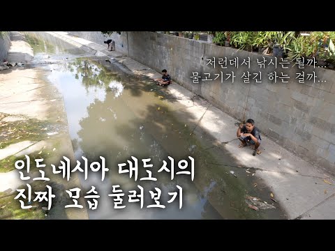 🇮🇩 내가 인도네시아 대도시를 여행하는 방법