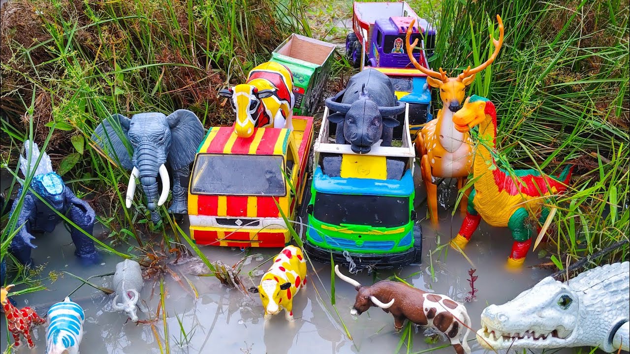 WADIDAU ‼️ PROSES POTONG SAPI KURBAN | Angkut Sapi Dan Memberi Makan Sapi, Cow Videos