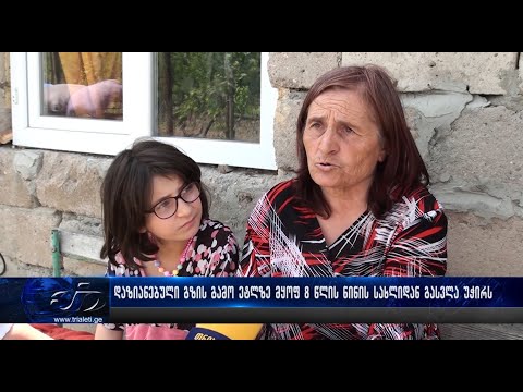 დაზიანებული გზის გამო ეტლზე მყოფ 8 წლის ნინის სახლიდან გასვლა უჭირს