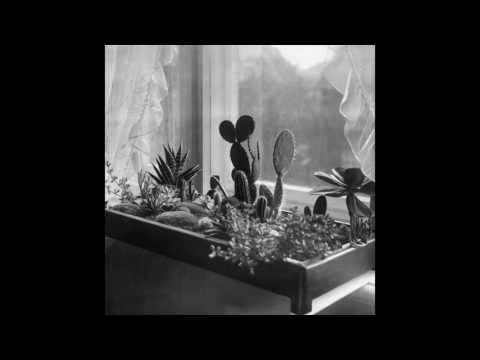 Turinn — Turinn - Frank White