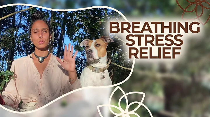 Nervous System Reset || Breathing Stress Relief ||...