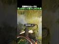 伐採中にロープに引っかかって落下しかけた男