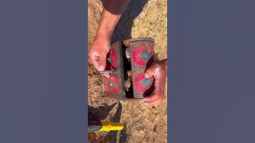 Treasure hunting #shorts