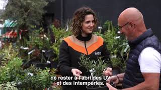 Weldom Le Réseau Inaugure Une Nouvelle Unité À Cheylard Ac Franchise
