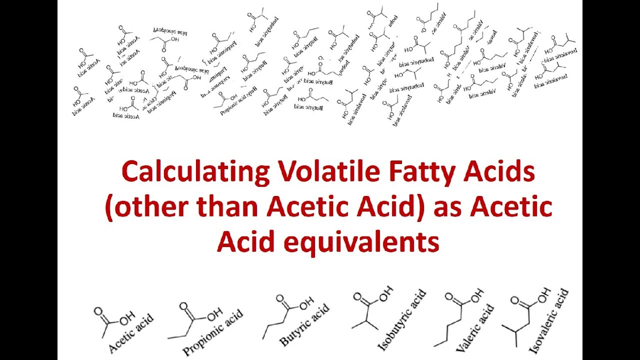 Calculating Volatile Fatty Acids other than Acetic Acid to Acetic Acid equivalents