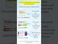 3 важных препарата для лечения рака молочной железы #dengyuepharma