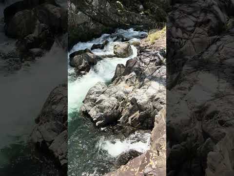 極上の自然音｜岩間を流れる天然のASMR#nature #youtubeshorts #癒し #forest #asmr #river #shorts