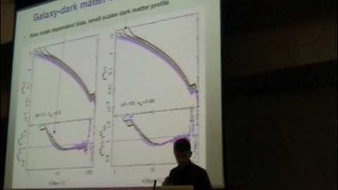 Uros Seljak - Galaxy-Galaxy Lensing