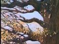 Russian Animation - The Tree &amp; the Cat (Eng subs)