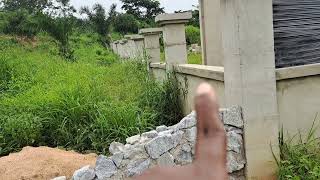 #GRANITE STONES AND NEW GROWTH FROM THE RAIN #PAN AFRICAN VILLAGE #GHANA.