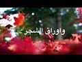 اذا سؤلوني شكد احب العراق بكد ماي البحر وحبات المطر واوراق الشجر حبيتك انا الوصف