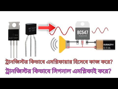 Qattiq shortilar kiygan jozibali dumbalar Porno orgiya tranny guruh jinsiy aloqa