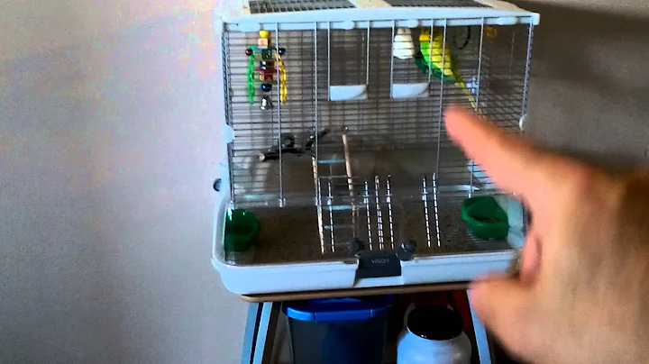 Vision Cage (medium cage)