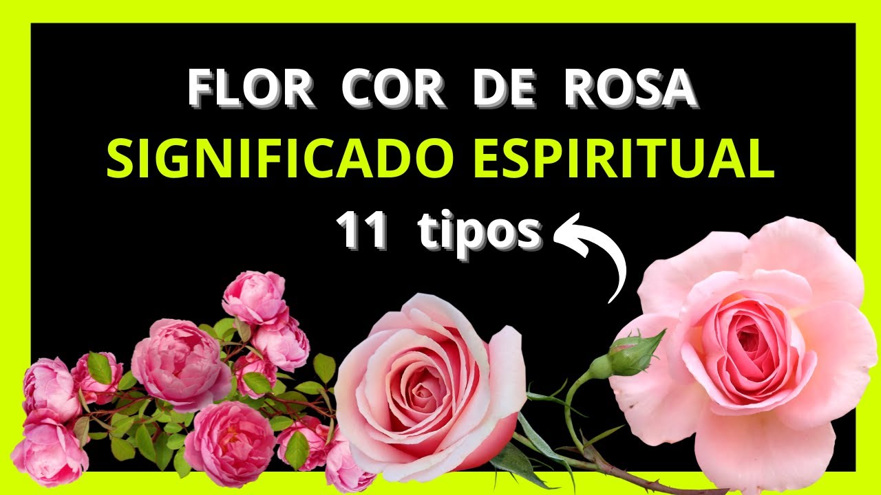 11 flores de cor rosa e seus significados espirituais - YouTube