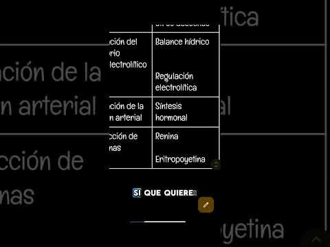 Principales funciones de los riñones #medicina #educación #fisiologia