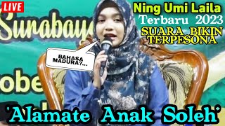 Ning Umi laila 2023 Terbaru  Suara bikin Terpesona Alamate ANAK Soleh | Ketapang Banyuwangi.