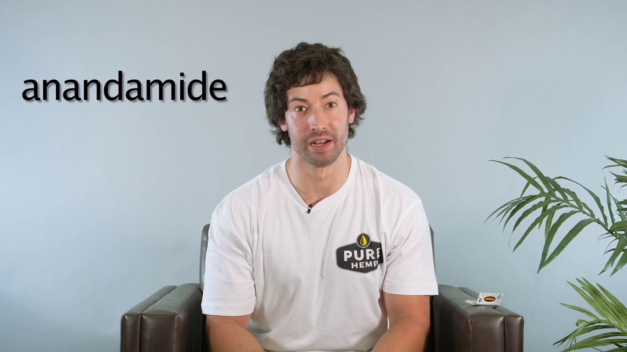 How Does Pure Hemp CBD Work