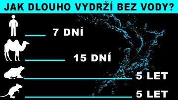 Kde se vyskytuje voda?